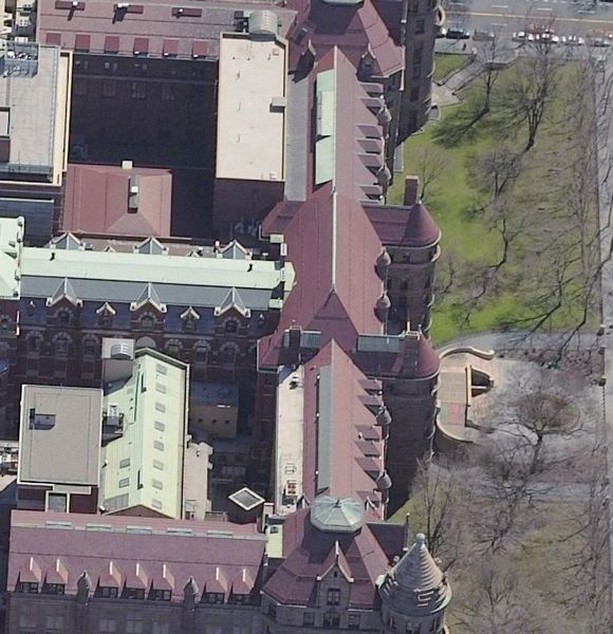 american museum of natural history: american museum of natural history -central park west - 79 th str 5